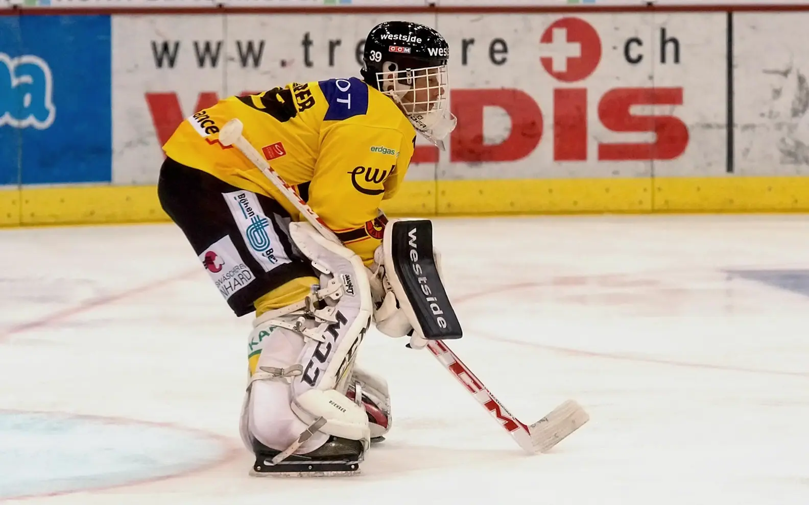 Hockey, ice hockey and player